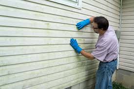 Best Storm Damage Siding Repair  in Junction City, KY